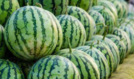 各种网红吃瓜爆料站,揭秘娱乐圈幕后真相